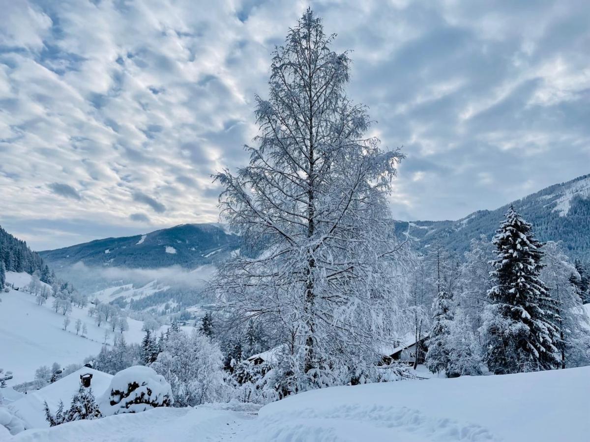 Alpenliebe Apartment Bad Kleinkirchheim Luaran gambar